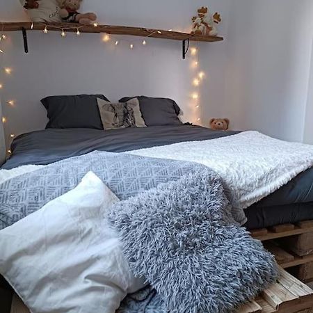 T2 Ultra Cosy En Hypercentre Apartment ตาราร์ ภายนอก รูปภาพ